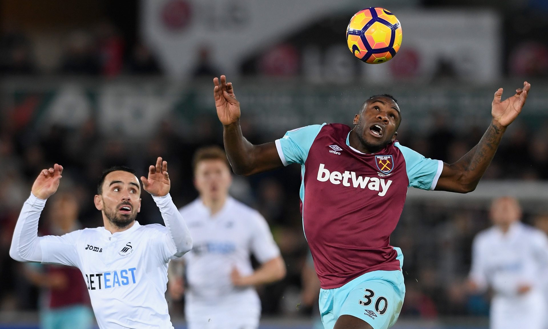 还被评选为 还被评选为